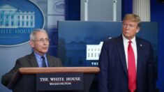 Trump: Fauci debe responder ‘muchas preguntas’