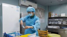 Reportan posible primer caso humano de gripe aviar H10N3 en China