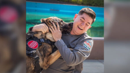 Exadiestrador de perros policías se reúne con pastor alemán detector de bombas en emotivo reencuentro