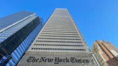 Abogados de Babylon Bee exigen que New York Times se retracte por su afirmación de “desinformación”: CEO
