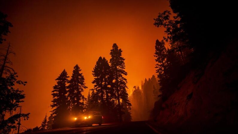 El fuego quema desde hace una semana en el sureste del estado de Oregón, junto a la frontera con California, y afecta una zona montañosa y de vegetación en el Bosque Nacional de Fremont-Winema. EFE/Etienne Laurent/Archivo