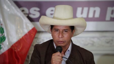 Justicia peruana dicta impedimento de salida del país a sobrinos de Castillo