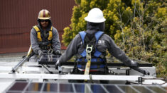 Inminente tsunami de residuos de paneles solares revela lado oscuro de energías renovables: Experto