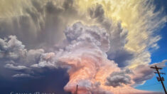 Fotógrafa persigue una tormenta y captura increíble imagen de un tornado al atardecer