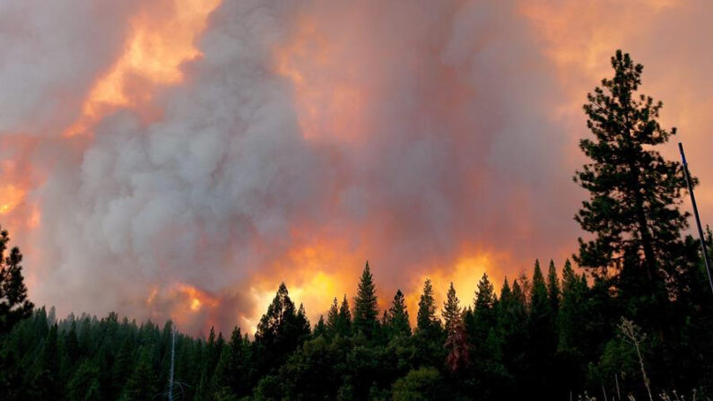 En la imagen, un incendio fuera del Parque Nacional de Yosemite, en California (EE.UU.). EFE/Noah Berger/Archivo