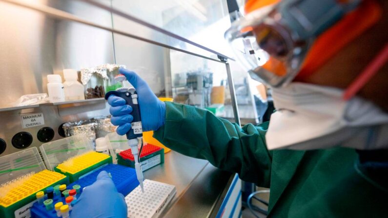 El biólogo molecular prepara una prueba de RT-PCR en los laboratorios del OIEA en Seibersdorf, Austria, el 7 de mayo de 2020. (Joe Klamar/AFP vía Getty Images)