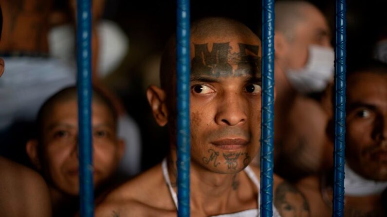 Miembros de las pandillas MS-13 permanecen dentro de sus celdas en el penal de máxima seguridad de Izalco, Sonsonate, El Salvador, el 4 de septiembre de 2020. (Yuri Cortez/AFP vía Getty Images)
