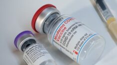 Vacuna Moderna eleva 44 veces riesgo de miocarditis en adultos jovenes, dice estudio revisado por expertos