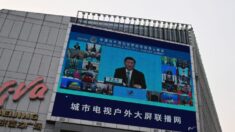 Xi Jinping promete dar forma al futuro común de la humanidad