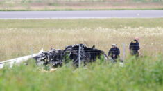 9 muertos tras caer avión en aeropuerto del sur de Suecia