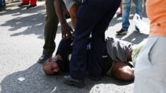 OCDH critica a Borrell y Bachelet por «desviar la atención» sobre motivos reales de protestas en Cuba