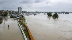 Países Bajos evacuará a 10,700 residentes de poblaciones cercanas al río Mosa