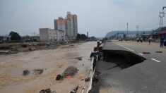 Inundaciones en región central de China dejan ganado muerto