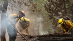 Más de 22,000 bomberos combaten 86 grandes incendios en Estados Unidos