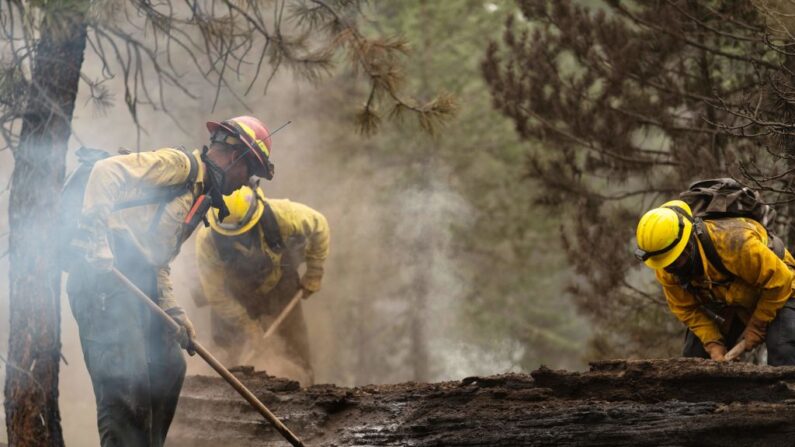 Equipos de bomberos realizan trabajos de limpieza en la División Echo Echo del Bootleg Fire en sus esfuerzos por combatir el incendio el 25 de julio de 2021 en el Fremont-Winema National Forest de Oregón (EE.UU.). (Mathieu Lewis-Rolland/AFP vía Getty Images)