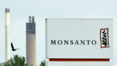 Francia multa a Monsanto por fichero con periodistas, políticos y activistas
