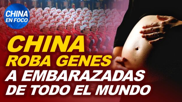 China en Foco: China recolecta genes de embarazadas de todo el mundo. Régimen chino admite ataques