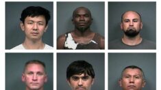 Oficina de Investigaciones de Tennessee detiene a 18 sospechosos durante operación de trata de personas