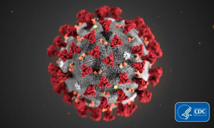 Imagen del coronavirus responsable de la enfermedad de COVID-19 proporcionada por los Centros para el Control y la Prevención de Enfermedades. (CDC/TNS)