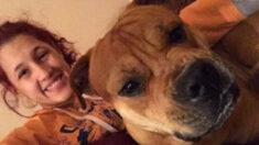 Mujer busca perro en adopción y encuentra al que perdió 2 años atrás: “¡No puede ser, es mi perro!»