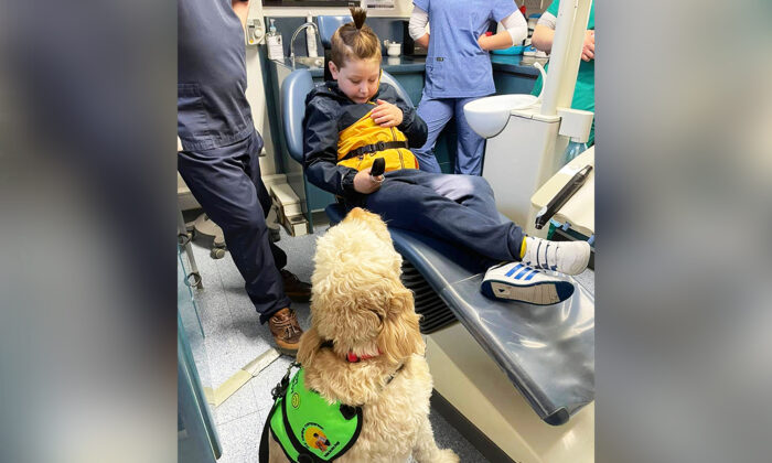 Riley, de 7 años, con su perro de servicio para el autismo, Willow, durante su primera visita al dentista el 28 de mayo. (Cortesía de Nicole Duggan)