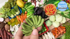 Hermosas piezas de arte de frutas y verduras de arcilla en miniatura