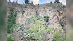 ¿Puede localizar al cachorro perdido es esta ladera rocosa de Idaho?
