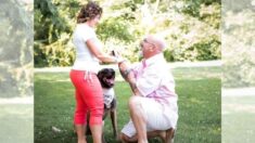 Perrito ayuda a su dueño a pedirle matrimonio a su novia en una conmovedora propuesta: ¡Dijo que sí!
