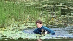Joven turista salva a un perro de morir ahogado en un lago, convirtiéndose en “héroe”