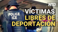 ICE no aplicará ley a víctimas de delitos; EE. UU. pide liberar a detenidos en Cuba | NTD