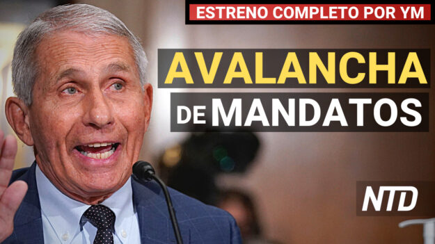 NTD Noticias: Fauci espera aumento de mandatos tras aprobación de la FDA; Principal asesora de Cuomo dimite