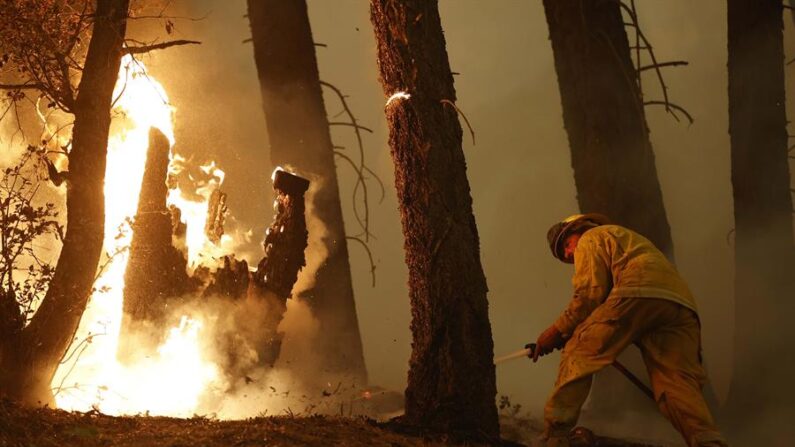 Hasta ahora, los bomberos no han sido capaces de superar el 0 % de contención de un fuego que empezó a arder el pasado sábado por causas todavía desconocidas. EFE/EPA/John G. Mabanglo/Archivo