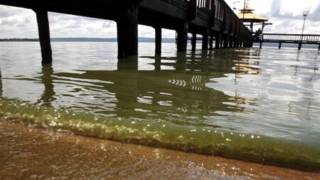 Florida demanda a planta en desuso por fuga de fosfato y desechos