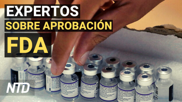 NTD Noticias: Preocupación por proceso de aprobación de FDA