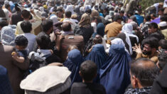 Mueren siete afganos en el abarrotado aeropuerto de Kabul