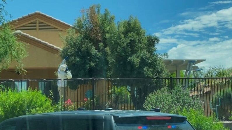 Un hombre retira una colmena de un árbol después de un ataque de un enjambre de abejas, en Arizona, el 29 de julio de 2021. (Cortesía del Distrito de Bomberos del Noroeste)