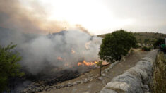 Los incendios devoran el sur de Italia y se cobran 5 víctimas