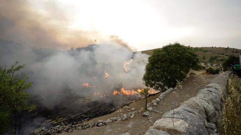 Los incendios siguen devorando hectáreas de bosques en Sicilia, Cerdeña y sobre todo en Calabria, en el sur de Italia, donde ya han provocado cinco víctimas mortales y mantienen varios municipios evacuados y zonas patrimonio de la Unesco amenazadas. EFE/EPA/Francesco Ruta