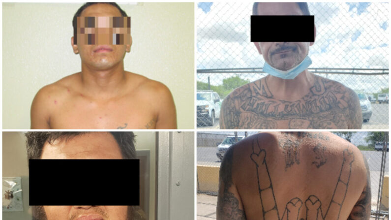 Los delincuentes y pandilleros arrestados recientemente por la Patrulla Fronteriza después de ingresar ilegalmente a los Estados Unidos. (CBP)