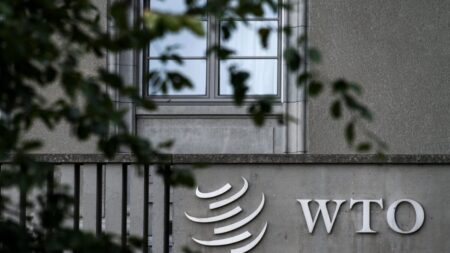 China «sigue estando terriblemente por debajo» de cumplir compromisos de la OMC: Informe