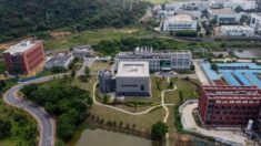 NIH revela más violaciones de subvenciones de socio del laboratorio de Wuhan, EcoHealth Alliance