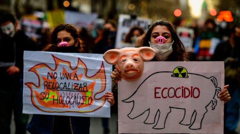 Personas protestan contra un acuerdo inicial entre Argentina y China para producir y exportar carne de cerdo, en la Avenida Mayo en Buenos Aires el 31 de agosto de 2020. (RONALDO SCHEMIDT/AFP a través de Getty Images)