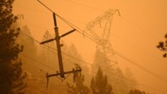 Incendio forestal en Arizona obliga a evacuar más de 750 viviendas