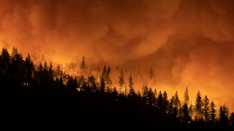 El incendio Dixie arde en una cresta de la montaña enviando brasas al aire el 5 de agosto de 2021 en Greenville, California (EE.UU.). (Trevor Bexon/Getty Images)