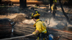 El gigantesco incendio de California ya quema más de 550 viviendas