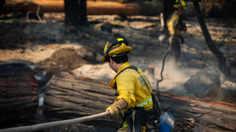 Un bombero se abre paso por la ladera de una montaña antes de extinguir un pequeño incendio el 9 de agosto de 2021 cerca de Westwood, California (EE.UU.). (Maranie R. Staab/Getty Images)