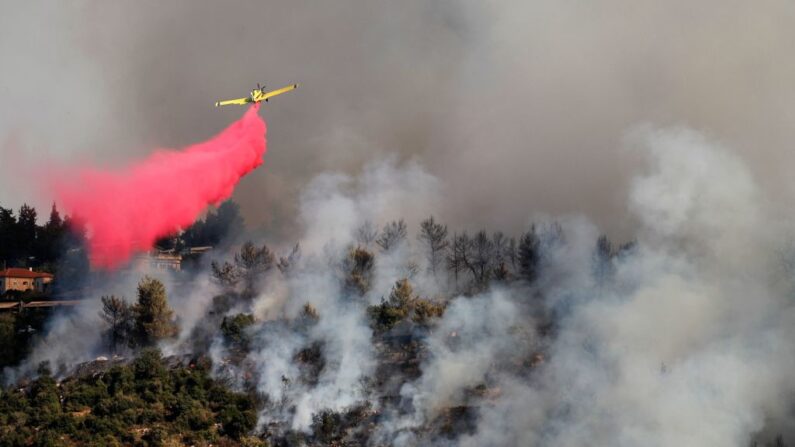 Un avión de bomberos trabaja en la extinción de un incendio forestal en las montañas de Jerusalén, cerca de Shoresh, el 16 de agosto de 2021. (Ahmad Gharabli/AFP vía Getty Images)