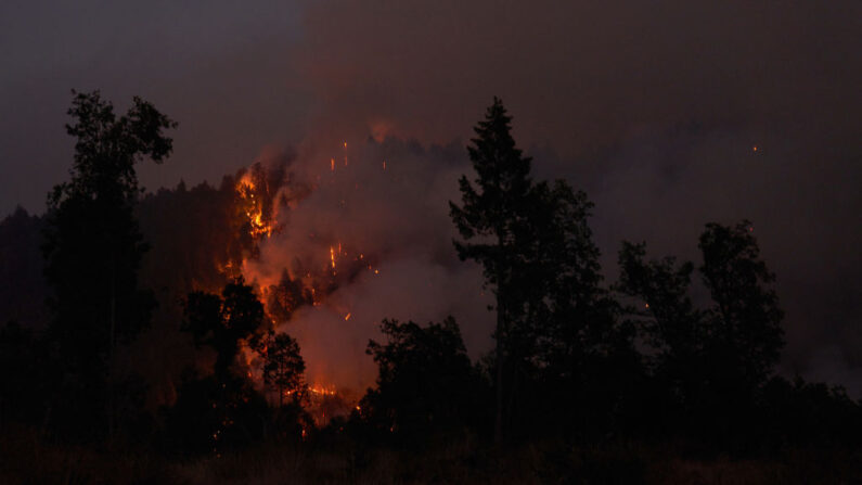 El incendio Caldor arde a lo largo de una cresta cerca de Mormon Emigrant Trail el 19 de agosto de 2021 en Pollock Pines, California (EE.UU.). (Allison Dinner/Getty Images)