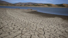 EE.UU. recorta suministro de agua del Río Colorado para dos estados y México