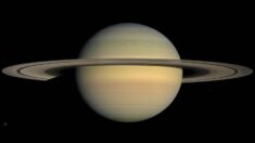 Saturno brillará intensamente en el cielo la próxima semana: Aquí le explicamos cómo verlo